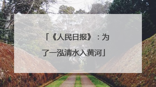 《人民日报》：为了一泓清水入黄河
