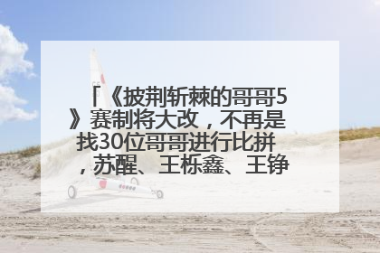 《披荆斩棘的哥哥5》赛制将大改，不再是找30位哥哥进行比拼，苏醒、王栎鑫、王铮亮、张远等多名男团选手被曝将参加