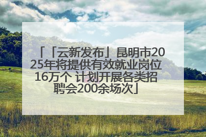 「云新发布」昆明市2025年将提供有效就业岗位16万个 计划开展各类招聘会200余场次
