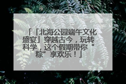 「北海公园端午文化盛宴」穿越古今，玩转科学，这个假期带你“粽”享欢乐！