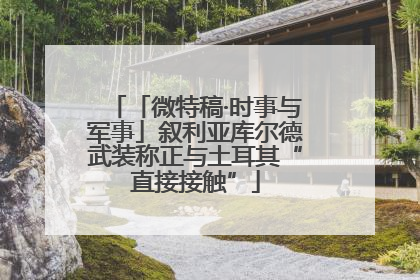 「微特稿·时事与军事」叙利亚库尔德武装称正与土耳其“直接接触”