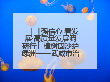「强信心 看发展·高质量发展调研行」植树固沙护绿洲——武威市治沙造林筑牢生态安全屏障见闻