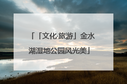 「文化·旅游」金水湖湿地公园风光美