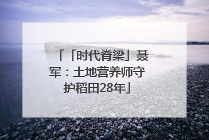 「时代脊梁」聂军：土地营养师守护稻田28年