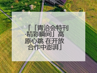 「青洽会特刊·精彩瞬间」高原心跳 在开放合作中澎湃