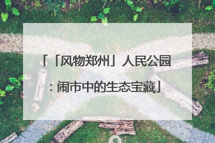 「风物郑州」人民公园：闹市中的生态宝藏