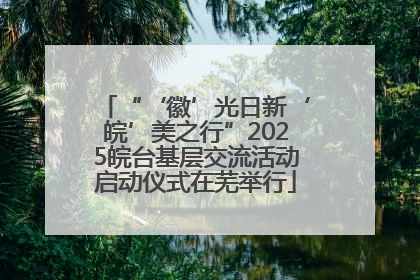 “‘徽’光日新‘皖’美之行”2025皖台基层交流活动启动仪式在芜举行