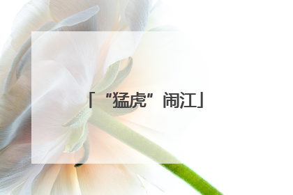 “猛虎”闹江