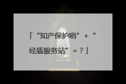 “知产保护哨”+“经盾服务站”=？