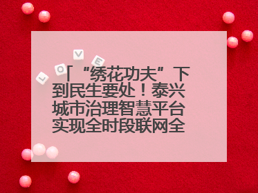 “绣花功夫”下到民生要处！泰兴城市治理智慧平台实现全时段联网全要素细治