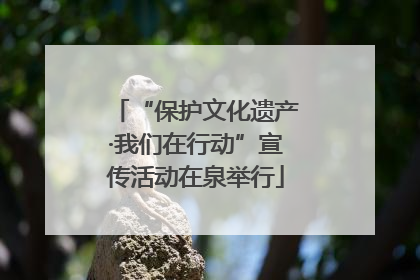 “保护文化遗产·我们在行动”宣传活动在泉举行