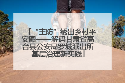 “主防”绣出乡村平安图——解码甘肃省高台县公安局罗城派出所基层治理新实践