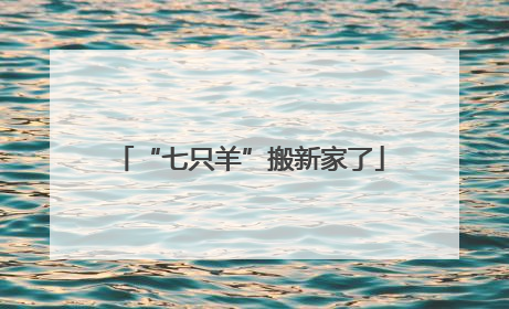 “七只羊”搬新家了