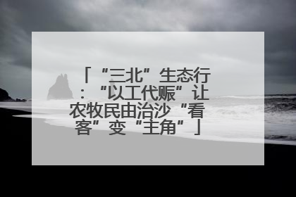 “三北”生态行：“以工代赈”让农牧民由治沙“看客”变“主角”