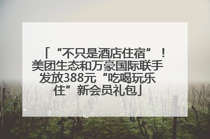 “不只是酒店住宿”！美团生态和万豪国际联手发放388元“吃喝玩乐住”新会员礼包
