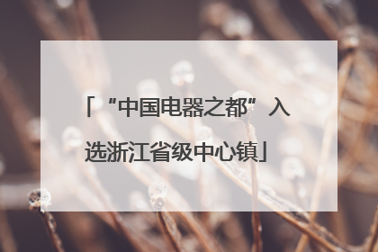 “中国电器之都”入选浙江省级中心镇