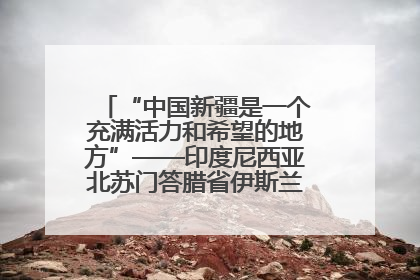 “中国新疆是一个充满活力和希望的地方”——印度尼西亚北苏门答腊省伊斯兰教代表团参访新疆
