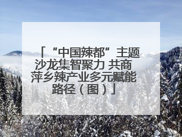 “中国辣都”主题沙龙集智聚力 共商萍乡辣产业多元赋能路径（图）