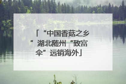 “中国香菇之乡”湖北随州“致富伞”远销海外