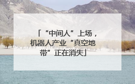 “中间人”上场，机器人产业“真空地带”正在消失