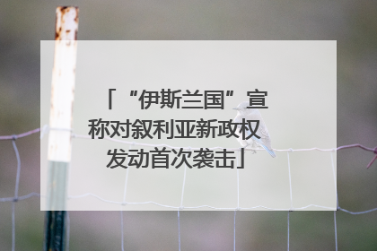 “伊斯兰国”宣称对叙利亚新政权发动首次袭击