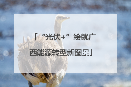 “光伏+”绘就广西能源转型新图景