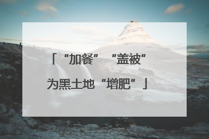 “加餐”“盖被” 为黑土地“增肥”
