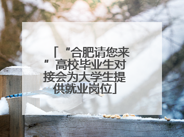 “合肥请您来”高校毕业生对接会为大学生提供就业岗位