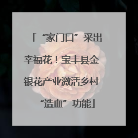 “家门口”采出幸福花！宝丰县金银花产业激活乡村“造血”功能