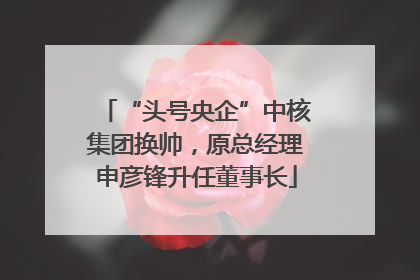 “头号央企”中核集团换帅，原总经理申彦锋升任董事长