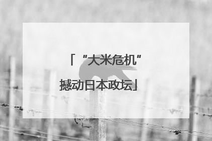 “大米危机”撼动日本政坛