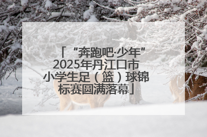“奔跑吧·少年”2025年丹江口市小学生足（篮）球锦标赛圆满落幕