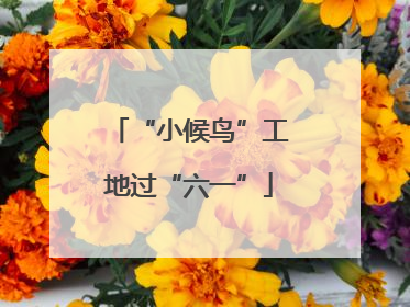 “小候鸟”工地过“六一”
