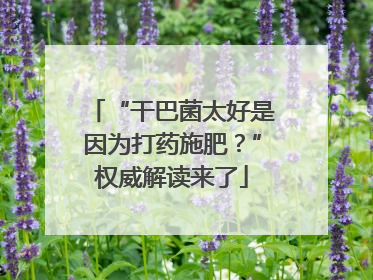 “干巴菌太好是因为打药施肥？”权威解读来了