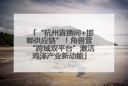 “杭州直播间+邯郸供应链”！角兽营“跨域双平台”激活鸡泽产业新动能