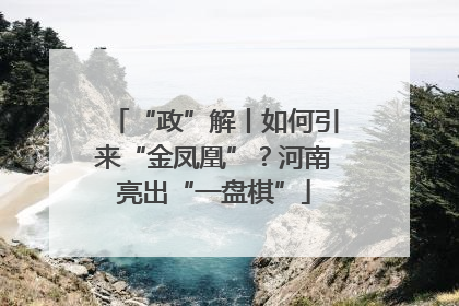 “政”解丨如何引来“金凤凰”？河南亮出“一盘棋”