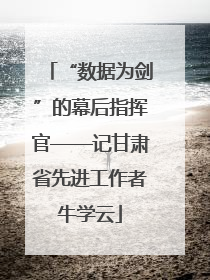 “数据为剑”的幕后指挥官——记甘肃省先进工作者牛学云
