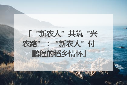 “新农人”共筑“兴农路”：“新农人”付鹏程的稻乡情怀