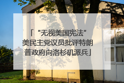 “无视美国宪法” 美民主党议员批评特朗普政府向洛杉矶派兵