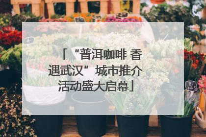 “普洱咖啡 香遇武汉”城市推介活动盛大启幕