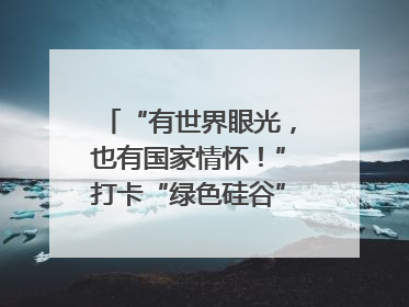 “有世界眼光，也有国家情怀！”打卡“绿色硅谷”，博主新解乐山｜网络名人四川行