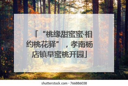 “桃缘甜蜜蜜·相约桃花驿”，孝南杨店镇早蜜桃开园