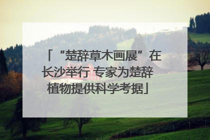 “楚辞草木画展”在长沙举行 专家为楚辞植物提供科学考据