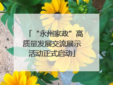 “永州家政”高质量发展交流展示活动正式启动