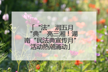 “法” 润五月 “典” 亮三湘！湖南“民法典宣传月”活动热潮涌动