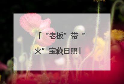 “老板”带“火”宝藏日照