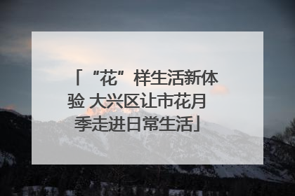 “花”样生活新体验 大兴区让市花月季走进日常生活