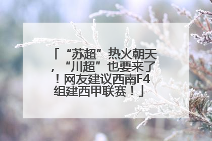 “苏超”热火朝天，“川超”也要来了！网友建议西南F4组建西甲联赛！