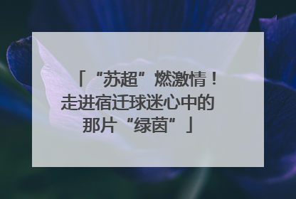 “苏超”燃激情！走进宿迁球迷心中的那片“绿茵”