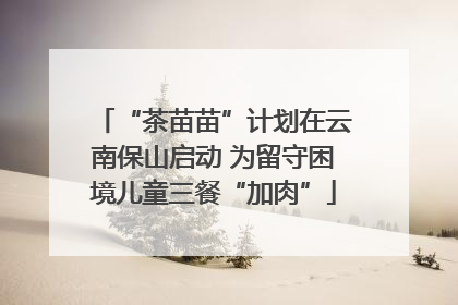 “茶苗苗”计划在云南保山启动 为留守困境儿童三餐“加肉”